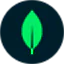 MongoDB Atlas