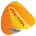 Pegasus